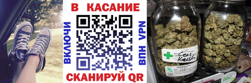 Псилоцибиновые грибы Баксан