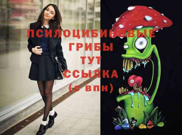 дурь Богородицк