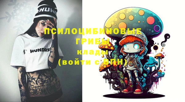 дурь Богородицк