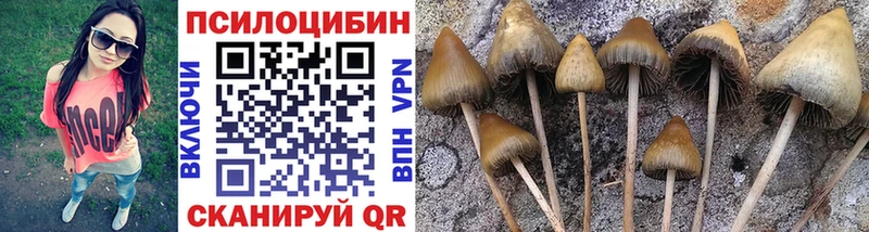 Галлюциногенные грибы Psilocybine cubensis  Баксан 