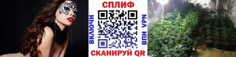 Каннабис индика  купить наркоту  Баксан 